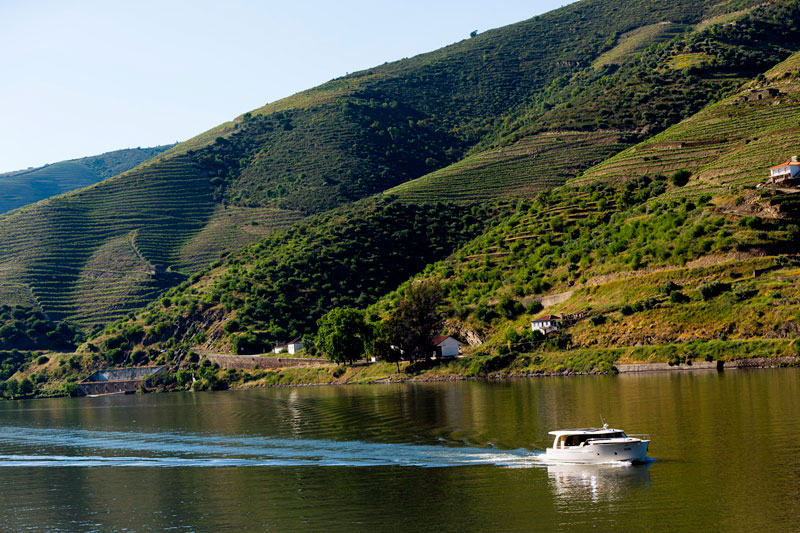 Feeldouro-cruise