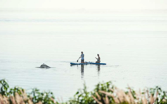 dakhla-sup