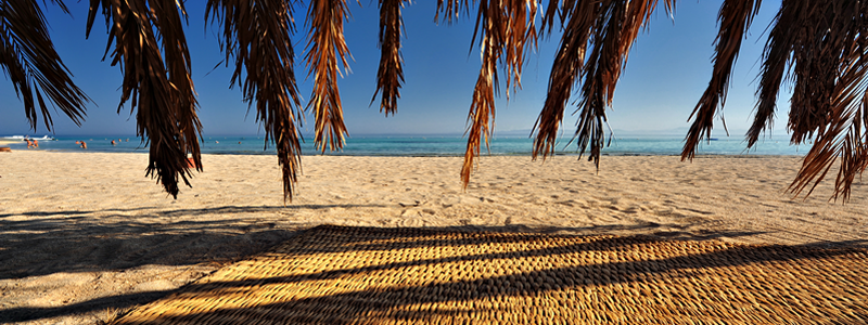 The best Windsurf holidays!