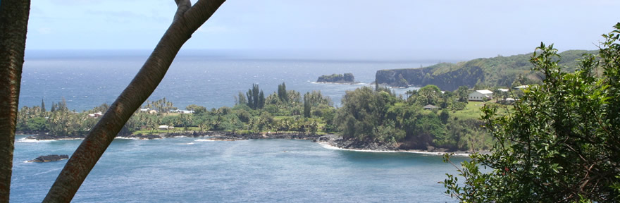 The best Windsurf holidays!
