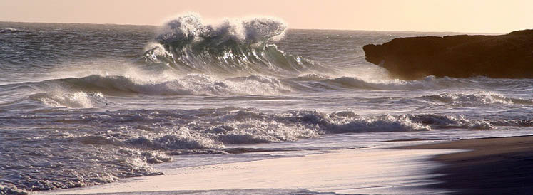 The best Windsurf holidays!