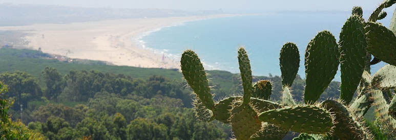 The best Windsurf holidays!