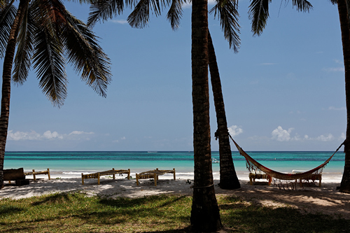 HOTEL in DIANI