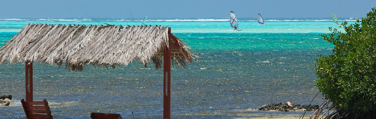bonaire-windsurf bonaire-windsurf