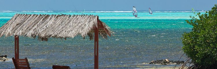 bonaire-windsurf