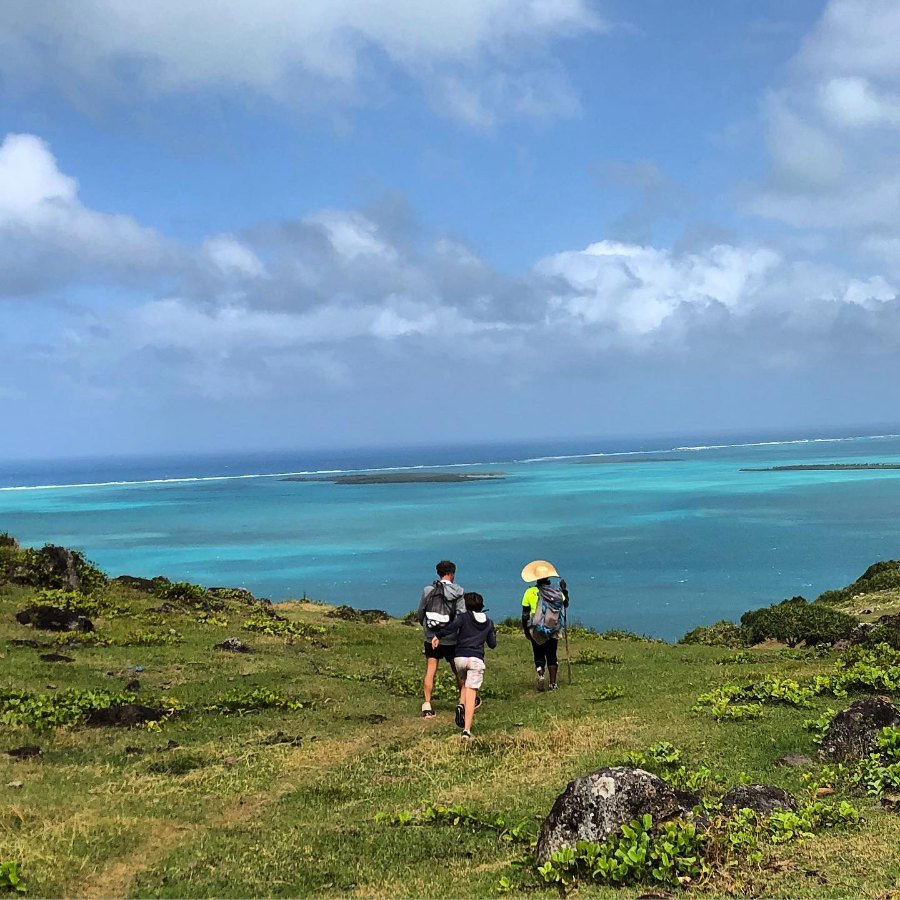 Rodrigues Island + Mauritius Island image