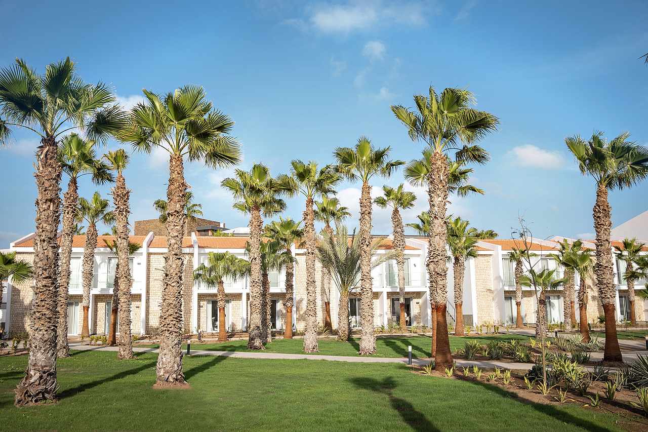 Robinson Club, Sal - windsurf holidays