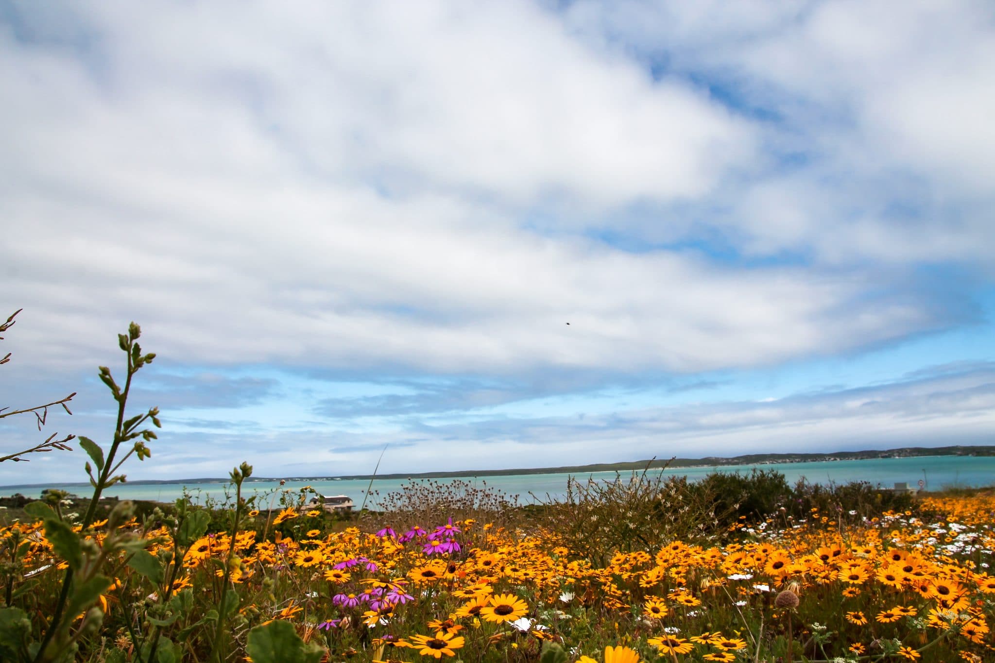 Kite Beach Hotel And Spa, Langebaan - windsurf holidays