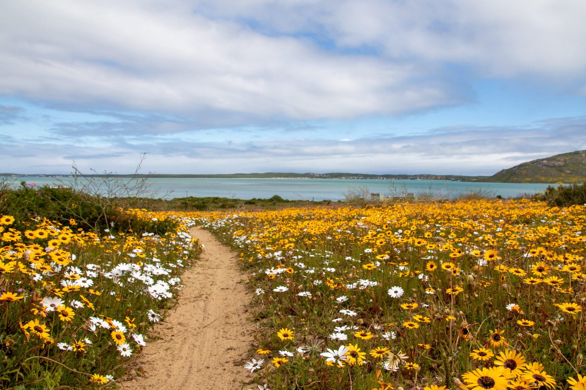 Kite Beach Hotel And Spa, Langebaan - windsurf holidays