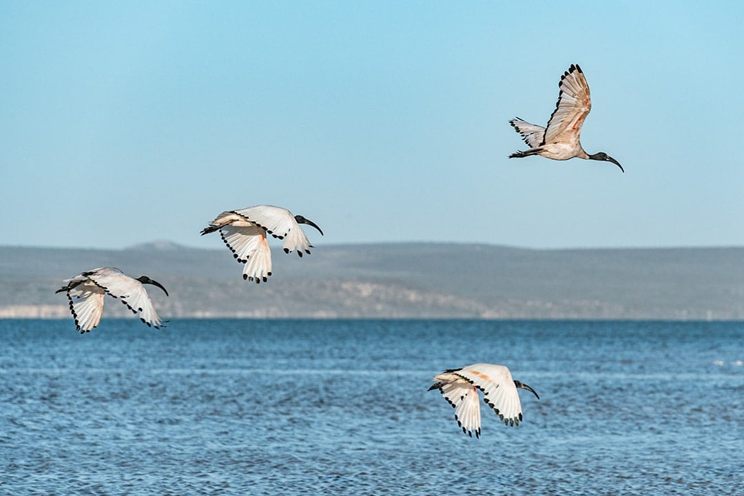 Kite Beach Hotel And Spa, Langebaan - windsurf holidays