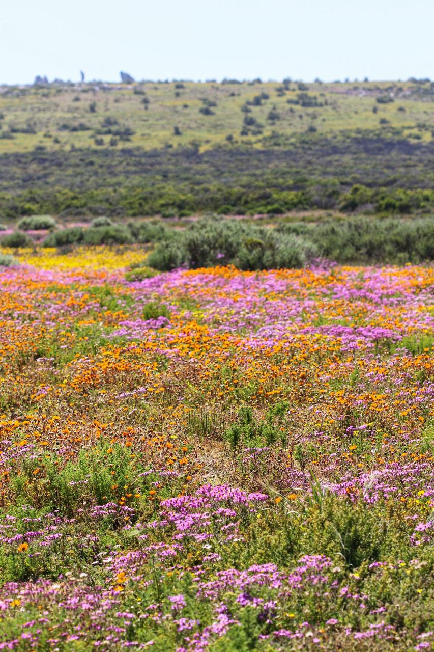 Kite Beach Hotel And Spa, Langebaan - windsurf holidays