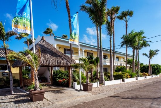 Paradera Park Aruba, Aruba - windsurf holidays