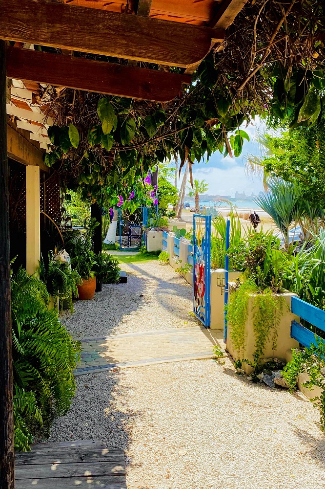Aruba Sunset Beach Studios, Aruba - windsurf holidays