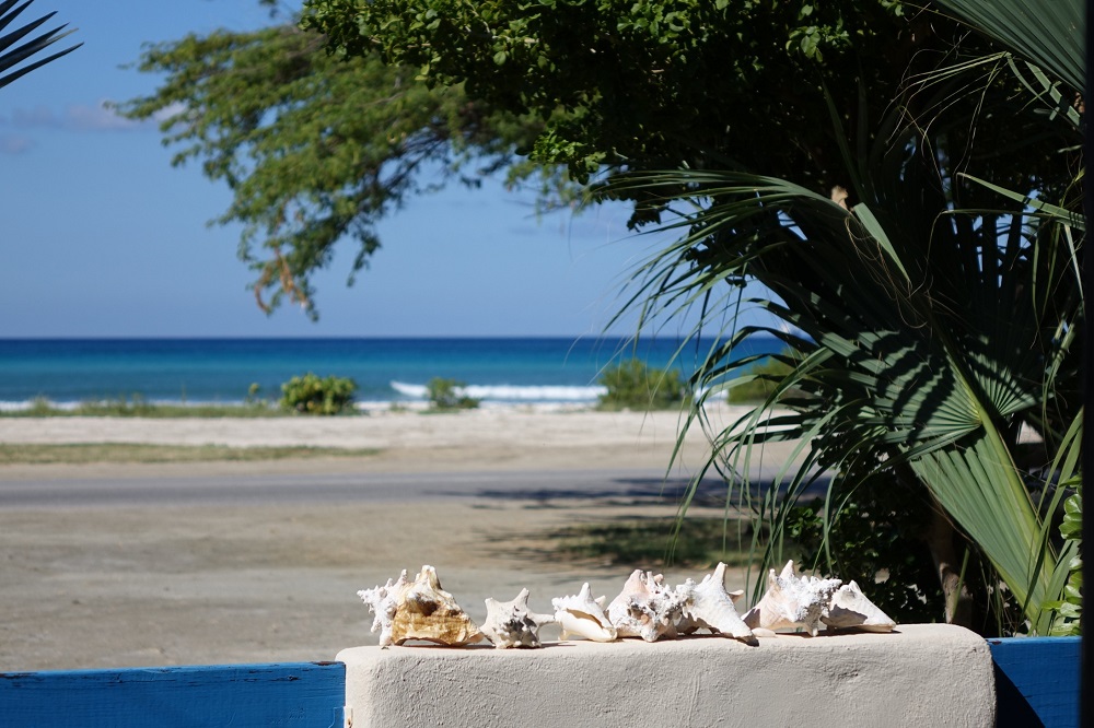 Aruba Sunset Beach Studios, Aruba - windsurf holidays