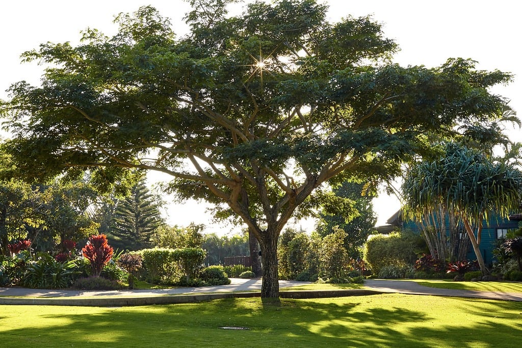 Lumeria Maui Retreat Center, Maui - windsurf holidays