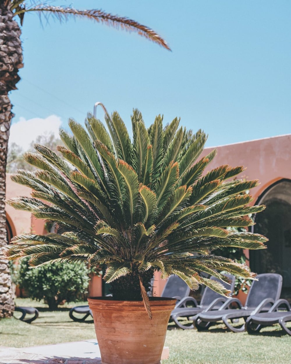 Hurricane Hotel, Tarifa - windsurf holidays