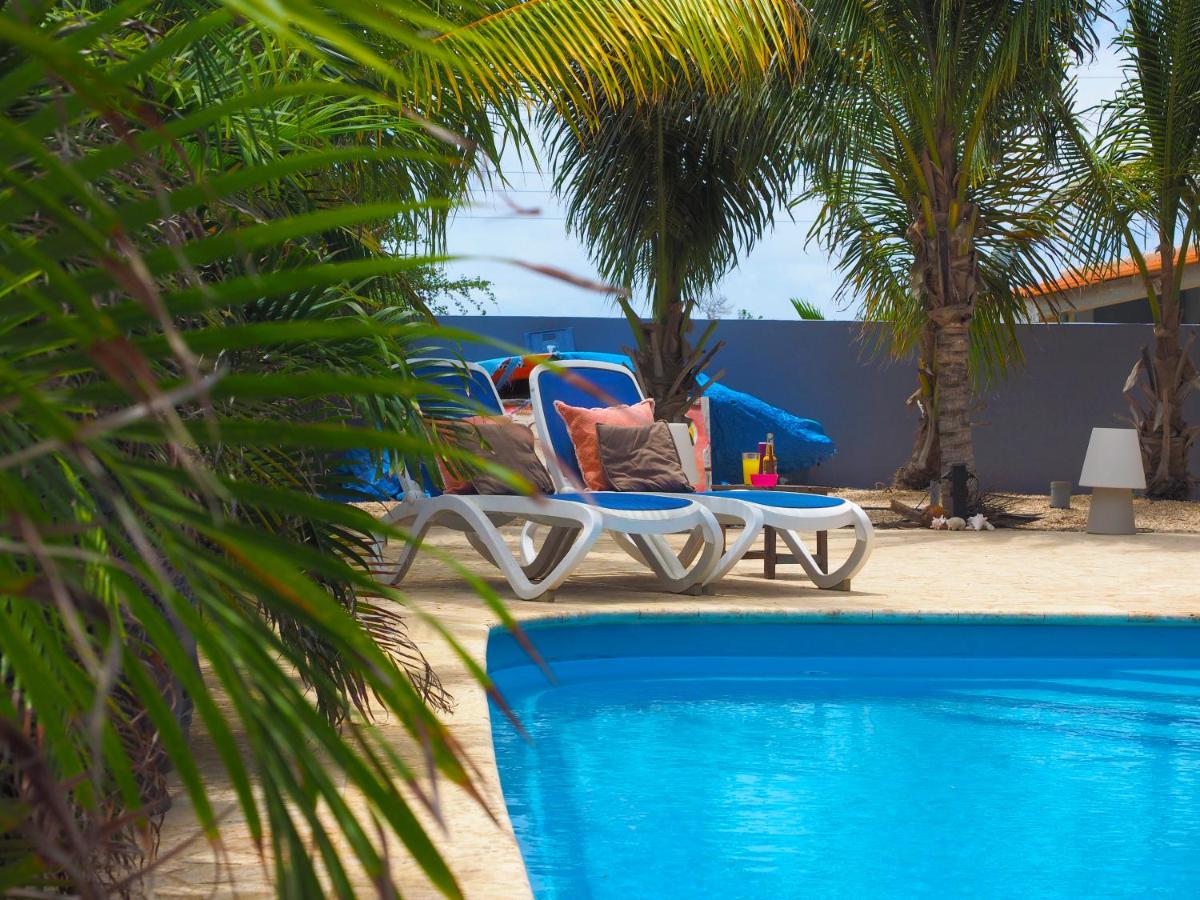 Oasis Guesthouse Bonaire, Bonaire - windsurf holidays