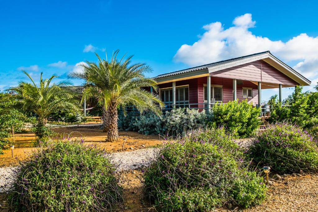 Red Palm Lac Bay, Bonaire - windsurf holidays