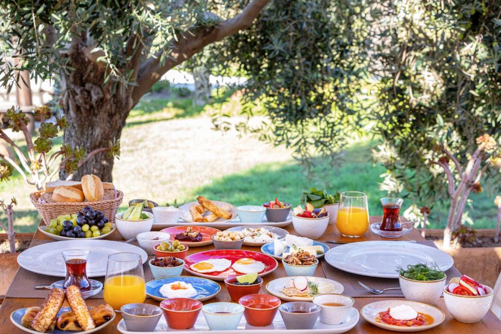 Alacati Beach Resort, Alacati - windsurf holidays
