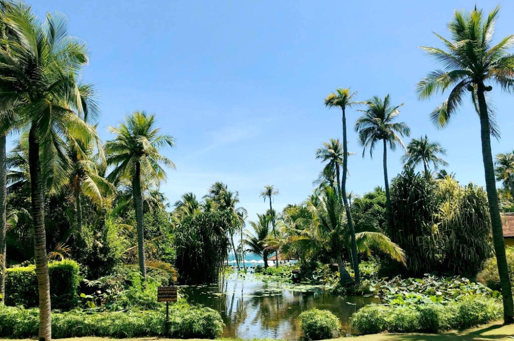 Mui Ne windsurf holidays