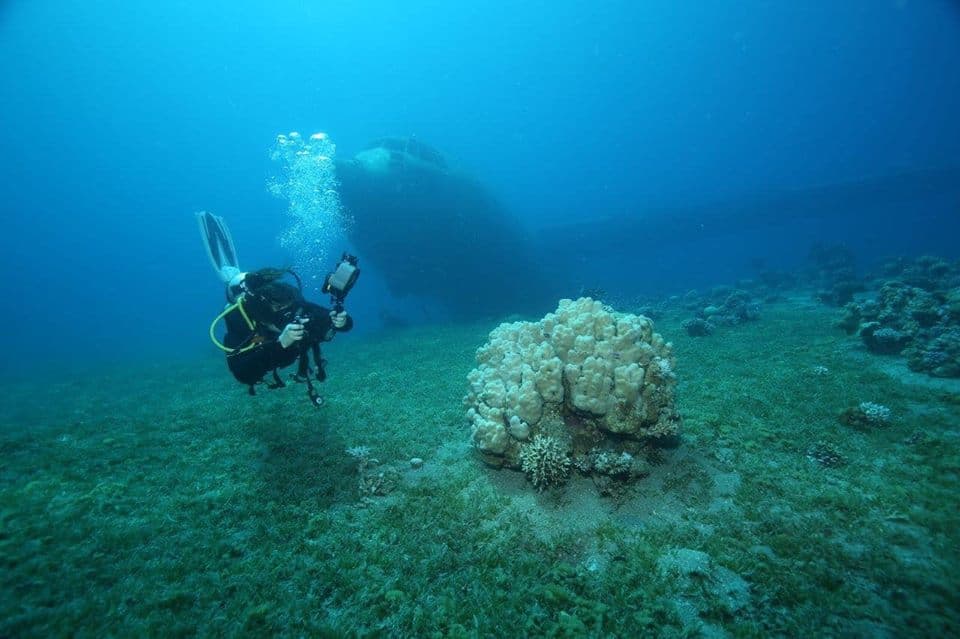 Diving